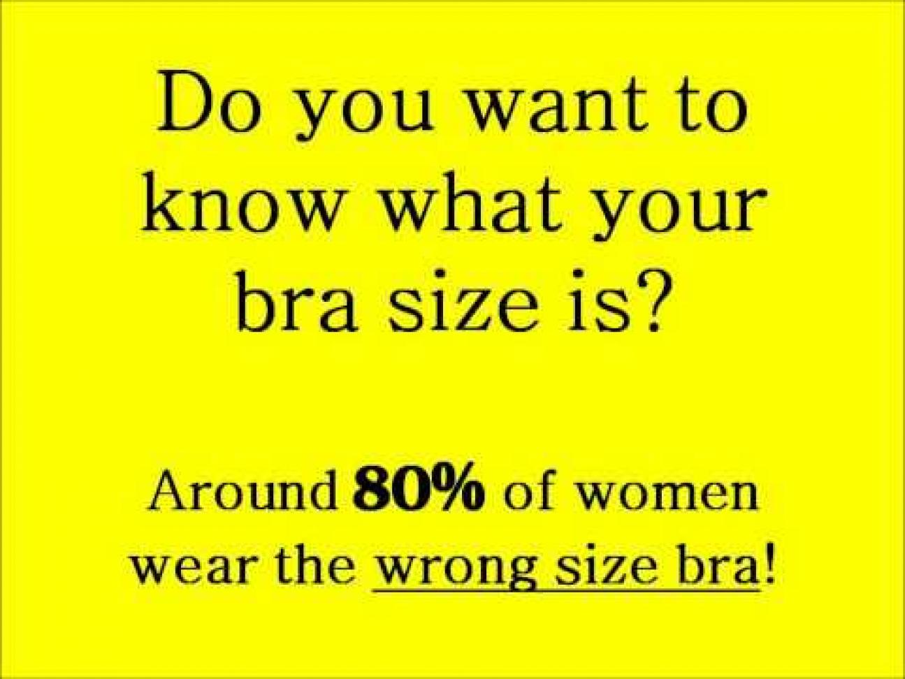bra size